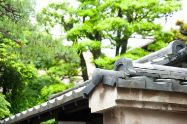 Yaz bahçesi ağaçları ve kısmi çatı manzarası 