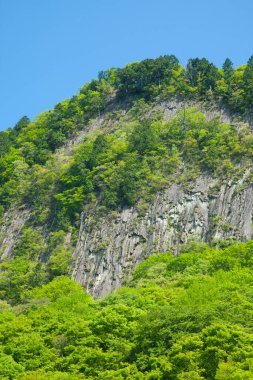 dağ zirvesi ve yeşil ağaçlar 