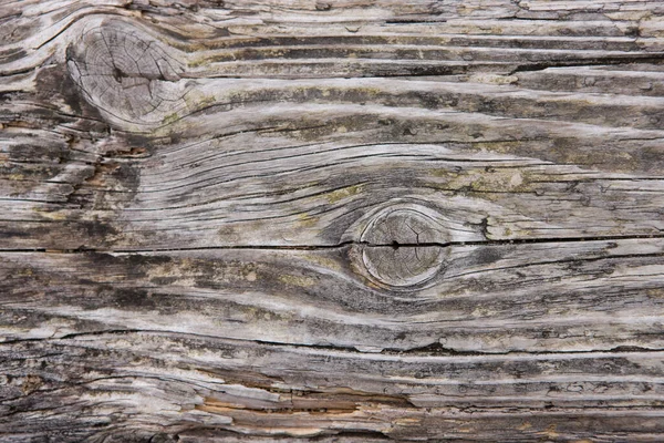 a close up of a piece of wood with a knot