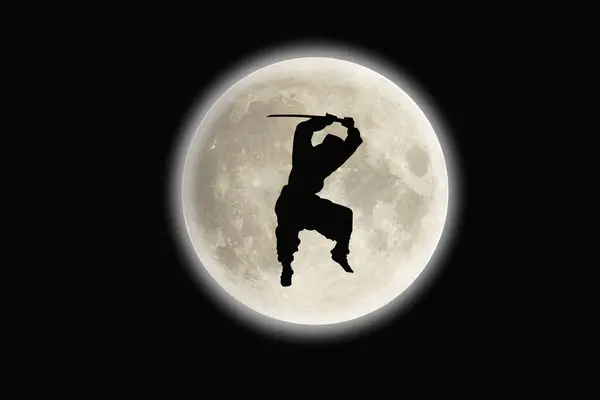 Silhouette Man Moon — Foto de Stock