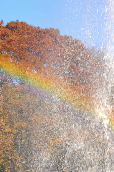 秋のパークビューの虹 — ストック写真