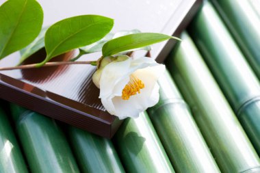 Bambu koruluğuyla beyaz çiçeğin yakın görüntüsü