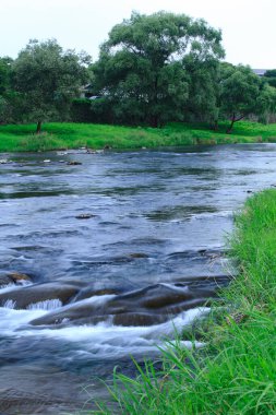 Yeşil çimenli nehir