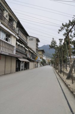 Geleneksel binalar ve uzun ağaçlarla dolu sessiz boş bir cadde.