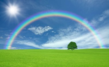 lone tree ve rainbow ile yeşil alan