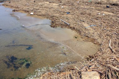 Kirli kıyı şeridi enkaz ve dağınık plastik atıklarla kaplı.