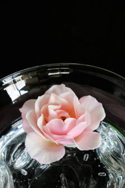 Siyah arka planda pembe çiçekli bir bardak su.