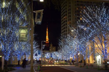 Noel dekoru ve aydınlatılmış çelenkler gece vakti ağaçlarda              