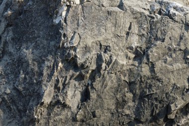 Akiyoshidai Milli Parkı 'nın güzel manzarası