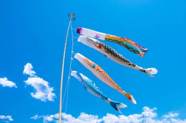 Dünya Rus Federasyonu bayrakları..