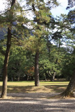 Parkta güzel bir sonbahar