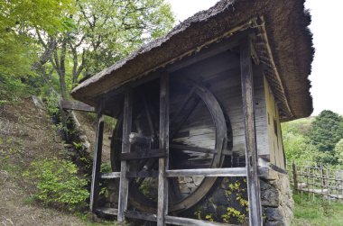 Eski ahşap su değirmeni yemyeşil yamaç ağaçlarının yanında duruyor.