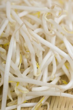 Lezzetli filizler, arka planda soya fasulyesi filizleri.