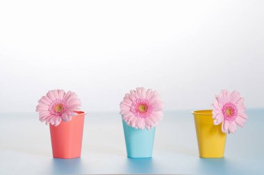 Beyaz arka planda pembe çiçeklerin renkli bardaklarda yakın plan görüntüsü    