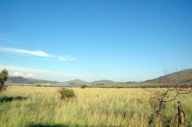 yeşil tarla ve dağlar 