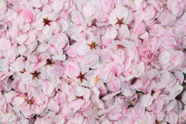 bir demet pembe çiçek arka planı 