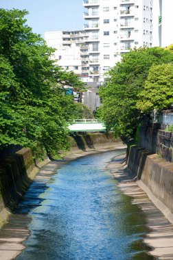Japon şehrindeki parkın güzel manzarası.