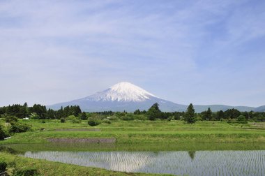 Fuji dağı karla kaplı.