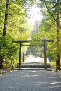 Ağaçların arasından süzülen güneş ışığı geleneksel ahşap gövde kapısı ve taş yolu aydınlatıyor