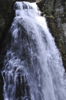 Güzel bir şelale orman manzarası