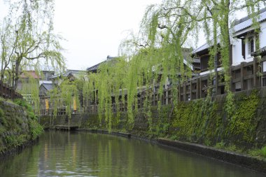 Söğüt ağaçları ve binaları olan geleneksel Japon kanalı.