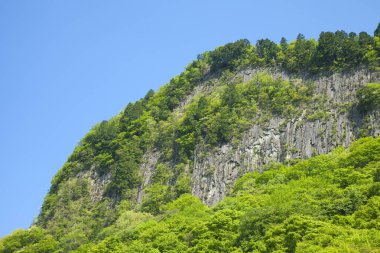 dağ zirvesi ve yeşil ağaçlar 