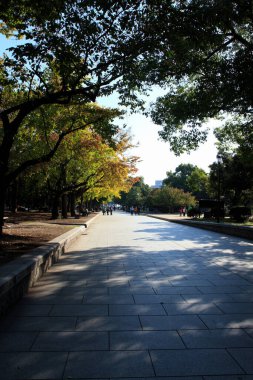 Güneşli bir günde Şehir Parkı 'nda Olgun Ağaçlarla Sıralanmış Geniş Köşeli Yol