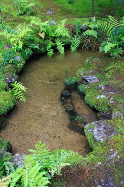 Bahçedeki küçük gölet 