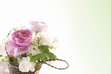 Beyaz ve yeşil çiçekler