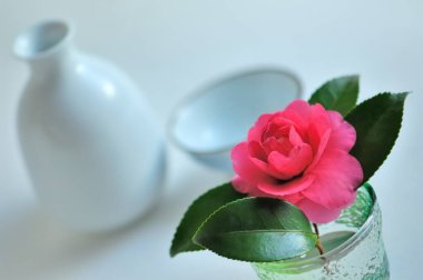 Masada pembe gül vazosu