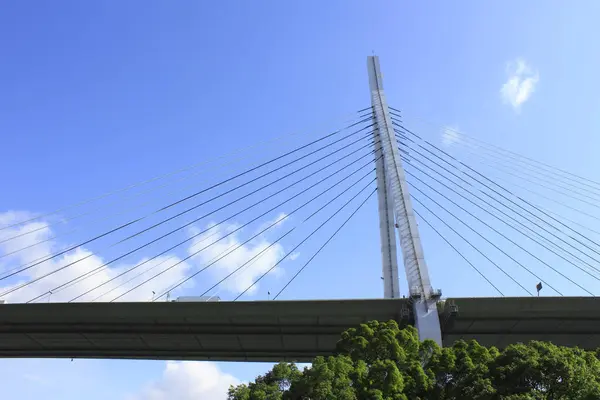 Torn Kablar Och Däck Tempozan Bridge Det Kabelbro Med Harpdesign — Stockfoto
