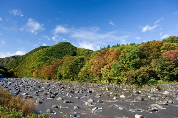 Ένα Ποτάμι Βράχια Και Δέντρα Στο Βάθος — Φωτογραφία Αρχείου