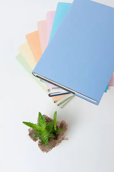 Pila Libri Con Copertine Colorate Piante Vaso — Foto Stock