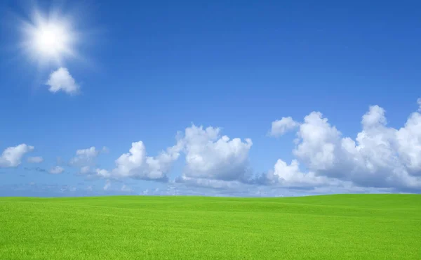 Campo Verde Cielo Azul Con Nubes Por Encima —  Fotos de Stock