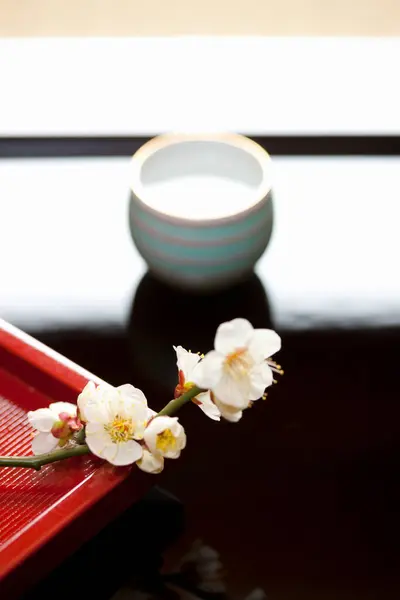 Beyaz Çiçek Yakın Görüş Masanın Üstünde Bir Çay Fincanı — Stok fotoğraf