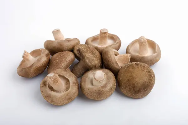 Funghi Champignon Crudi Isolati Sfondo Bianco — Foto Stock