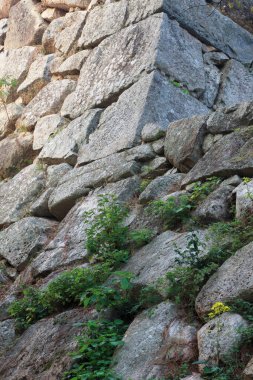 Japonya 'daki antik Hagi Kalesi kalıntıları