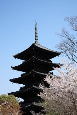  To-ji 'nin beş katlı Pagoda' sı (gojunoto) Kyoto, JAPAN 'da ilkbaharda