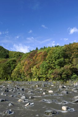 Dağlardaki nehrin güzel manzarası