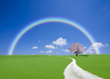 güzel renkli gökkuşağı yeşil çayırın üzerinde çiçek açan ağaçla