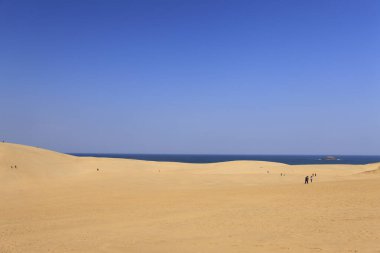 Çöl manzarası, mavi gökyüzünün altındaki kum tepeleri.