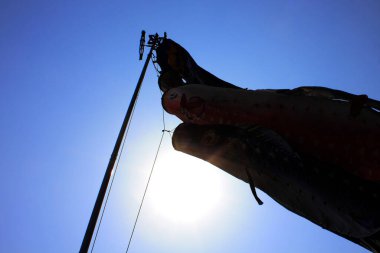 Japon koinobori ya da sazan balıklarının açık hava görüntüsü.                