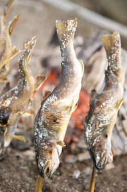 Açık havada ateşte kızartılan bütün balıklar.