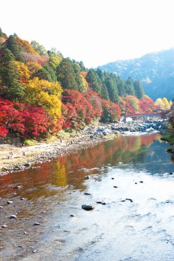 Güzel sonbahar manzarası Dağlarda ağaçlar ve nehirler      