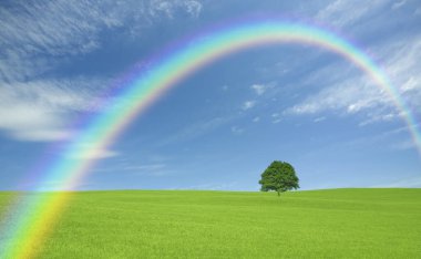 lone tree ve rainbow ile yeşil alan