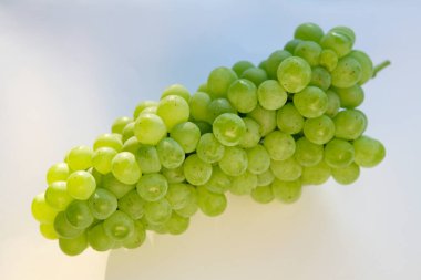 Taze yeşil üzümler, beyaz bir arka plan.