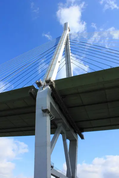 Kule Kablolar Tempozan Köprüsü Güvertesi Japonya Nın Osaka Şehrinde Arp — Stok fotoğraf