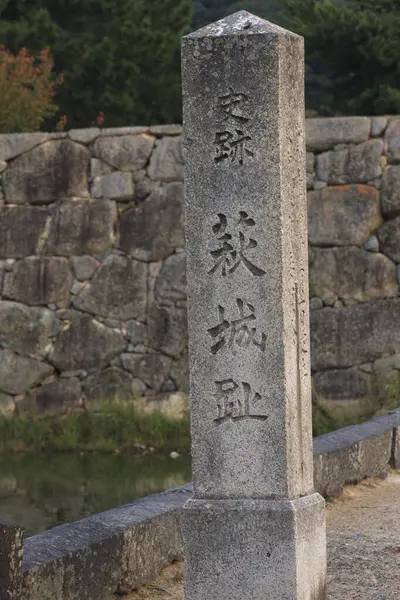 Obraz Starověkých Zřícenin Hradu Hagi Japonsku — Stock fotografie