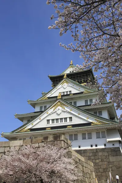 Zamek Osaka Kwiatem Wiśni Japońska Wiosna Piękna Scena Osaka Japonia — Zdjęcie stockowe
