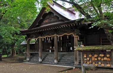 Japonya 'daki Japon tapınağı.